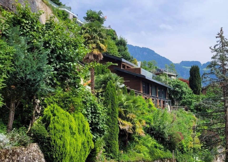 Villa Bootsmann Mit Spektakulaerer Seesicht Nahe Badestrand Vitznau Exterior foto